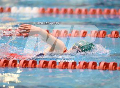 Thumbnail 3 in CHSAA 3A Girls Swim - State Championship photogallery.