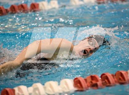 Thumbnail 1 in CHSAA 3A Girls Swim - State Championship photogallery.