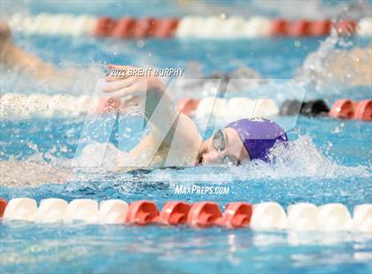 Thumbnail 1 in CHSAA 3A Girls Swim - State Championship photogallery.