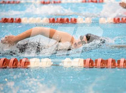 Thumbnail 2 in CHSAA 3A Girls Swim - State Championship photogallery.