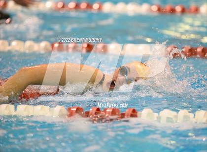 Thumbnail 1 in CHSAA 3A Girls Swim - State Championship photogallery.