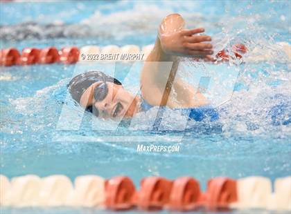 Thumbnail 1 in CHSAA 3A Girls Swim - State Championship photogallery.