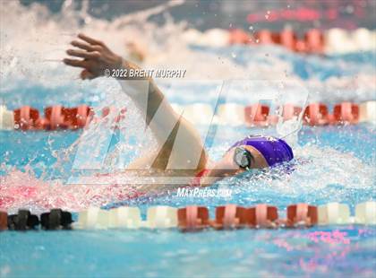 Thumbnail 1 in CHSAA 3A Girls Swim - State Championship photogallery.