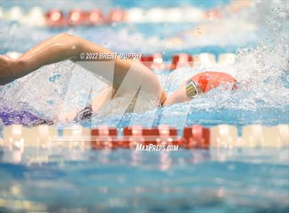 Thumbnail 1 in CHSAA 3A Girls Swim - State Championship photogallery.