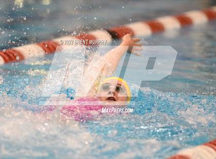 Thumbnail 2 in CHSAA 3A Girls Swim - State Championship photogallery.