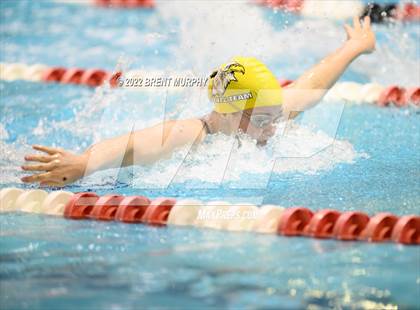 Thumbnail 1 in CHSAA 3A Girls Swim - State Championship photogallery.