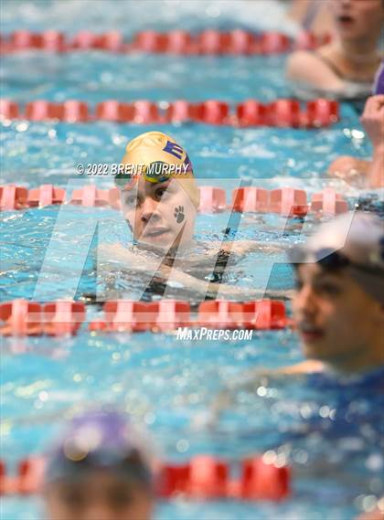 Thumbnail 1 in CHSAA 3A Girls Swim - State Championship photogallery.