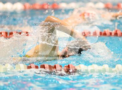 Thumbnail 3 in CHSAA 3A Girls Swim - State Championship photogallery.