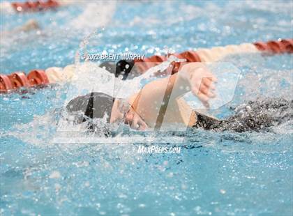 Thumbnail 1 in CHSAA 3A Girls Swim - State Championship photogallery.