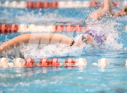 Thumbnail 2 in CHSAA 3A Girls Swim - State Championship photogallery.