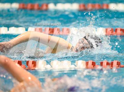 Thumbnail 3 in CHSAA 3A Girls Swim - State Championship photogallery.