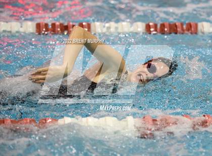 Thumbnail 1 in CHSAA 3A Girls Swim - State Championship photogallery.
