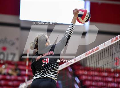 Thumbnail 2 in Connally @ Lorena photogallery.