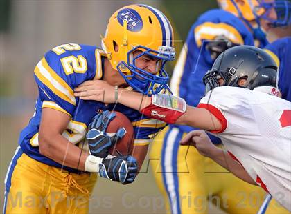 Thumbnail 1 in Syosset @ East Meadow photogallery.