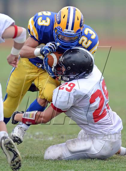 Thumbnail 2 in Syosset @ East Meadow photogallery.