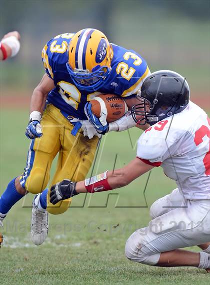 Thumbnail 1 in Syosset @ East Meadow photogallery.
