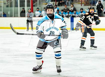 Thumbnail 3 in Lewis-Palmer @ Chugiak photogallery.