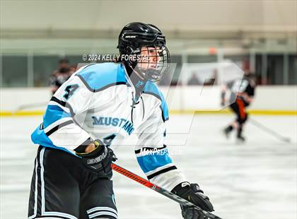 Thumbnail 1 in Lewis-Palmer @ Chugiak photogallery.