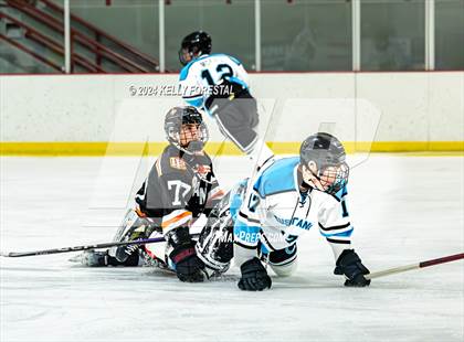 Thumbnail 3 in Lewis-Palmer @ Chugiak photogallery.