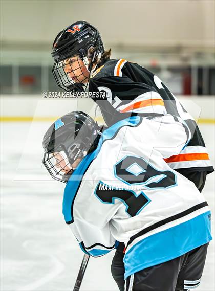 Thumbnail 2 in Lewis-Palmer @ Chugiak photogallery.