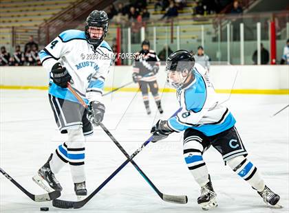 Thumbnail 3 in Lewis-Palmer @ Chugiak photogallery.