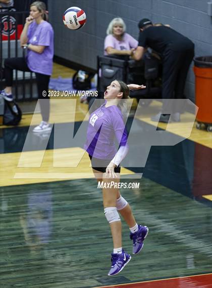 Thumbnail 3 in Leo @ Bellmont photogallery.