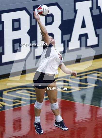 Thumbnail 2 in Leo @ Bellmont photogallery.