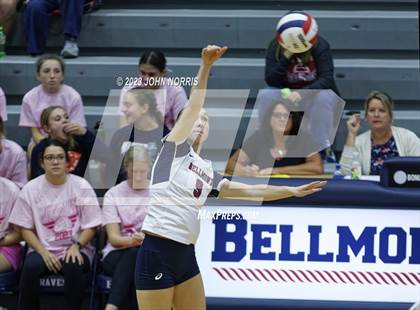 Thumbnail 3 in Leo @ Bellmont photogallery.