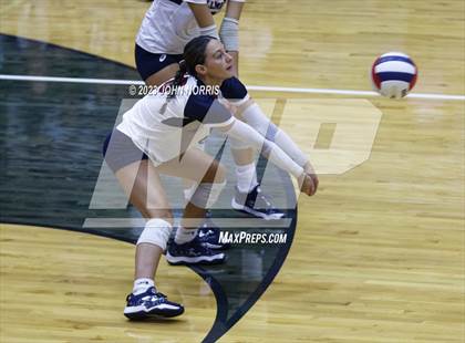 Thumbnail 1 in Leo @ Bellmont photogallery.
