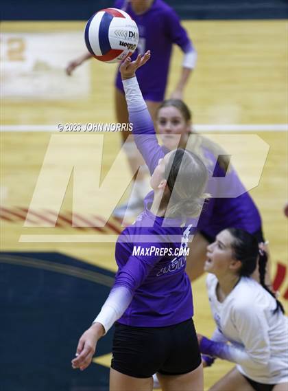 Thumbnail 1 in Leo @ Bellmont photogallery.