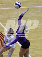 Photo from the gallery "Leo @ Bellmont"