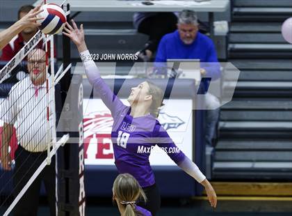 Thumbnail 1 in Leo @ Bellmont photogallery.