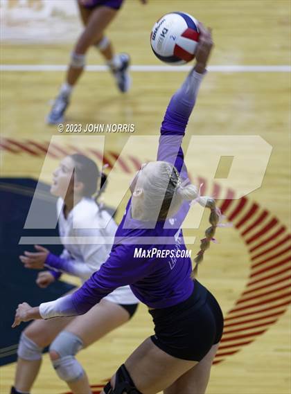 Thumbnail 1 in Leo @ Bellmont photogallery.