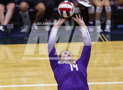 Thumbnail 1 in Leo @ Bellmont photogallery.