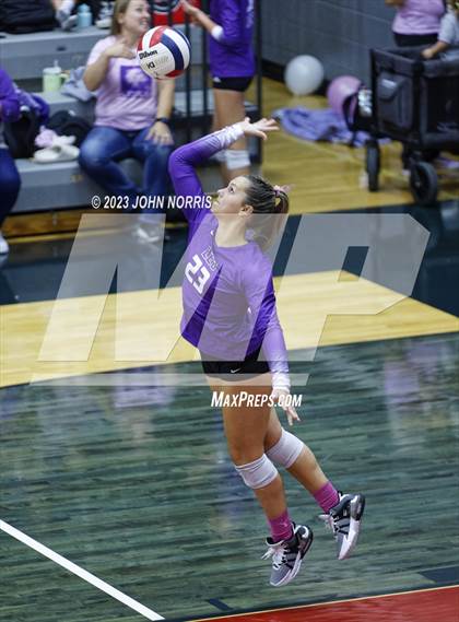 Thumbnail 2 in Leo @ Bellmont photogallery.