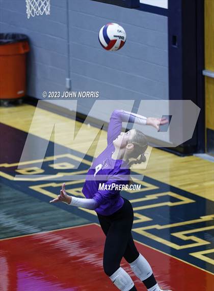 Thumbnail 3 in Leo @ Bellmont photogallery.