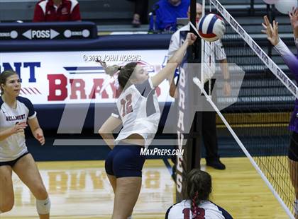 Thumbnail 3 in Leo @ Bellmont photogallery.