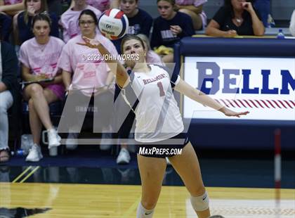 Thumbnail 2 in Leo @ Bellmont photogallery.