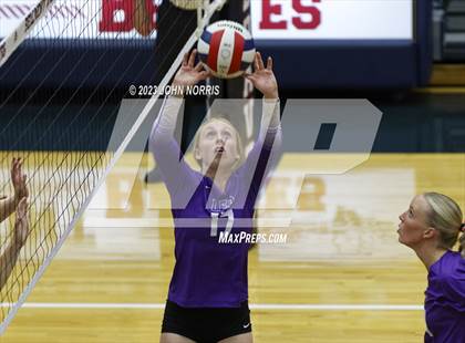 Thumbnail 1 in Leo @ Bellmont photogallery.