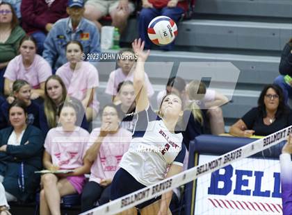 Thumbnail 2 in Leo @ Bellmont photogallery.