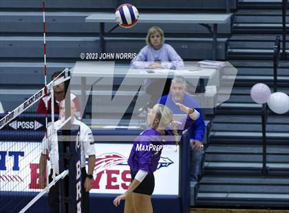 Thumbnail 3 in Leo @ Bellmont photogallery.