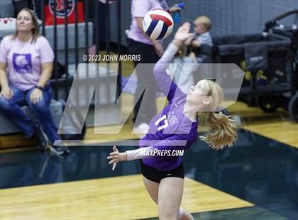 Thumbnail 2 in Leo @ Bellmont photogallery.