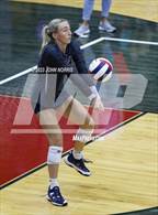 Photo from the gallery "Leo @ Bellmont"