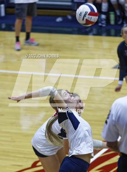 Thumbnail 3 in Leo @ Bellmont photogallery.