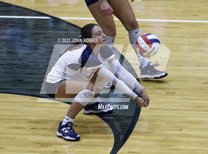 Thumbnail 1 in Leo @ Bellmont photogallery.