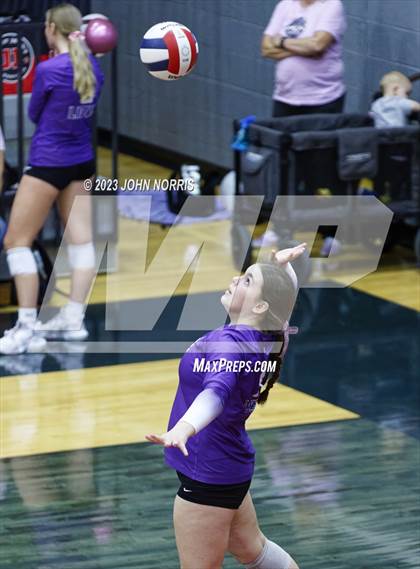 Thumbnail 2 in Leo @ Bellmont photogallery.