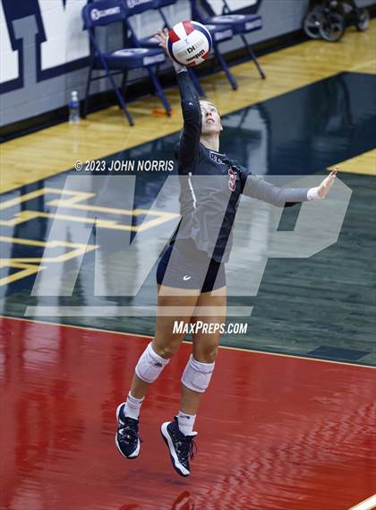 Thumbnail 3 in Leo @ Bellmont photogallery.