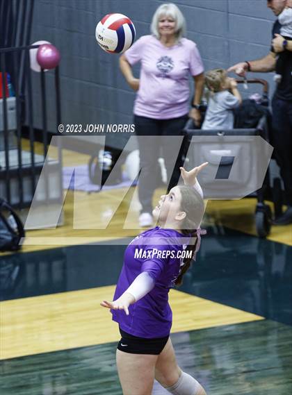 Thumbnail 2 in Leo @ Bellmont photogallery.