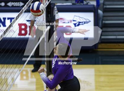 Thumbnail 2 in Leo @ Bellmont photogallery.