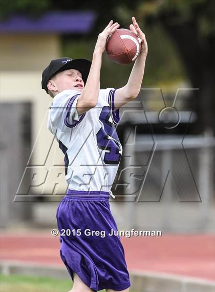 Thumbnail 2 in WIndsor @ Petaluma photogallery.
